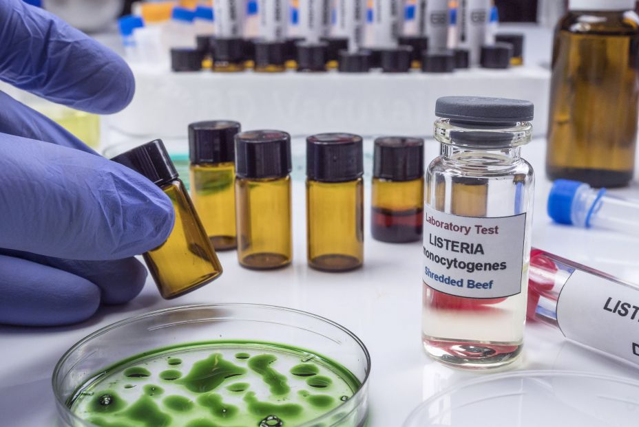 bigstock Expert Analyzes Stuffed Meat C 319636336 bigstock Expert Analyzes Stuffed Meat C 319636336