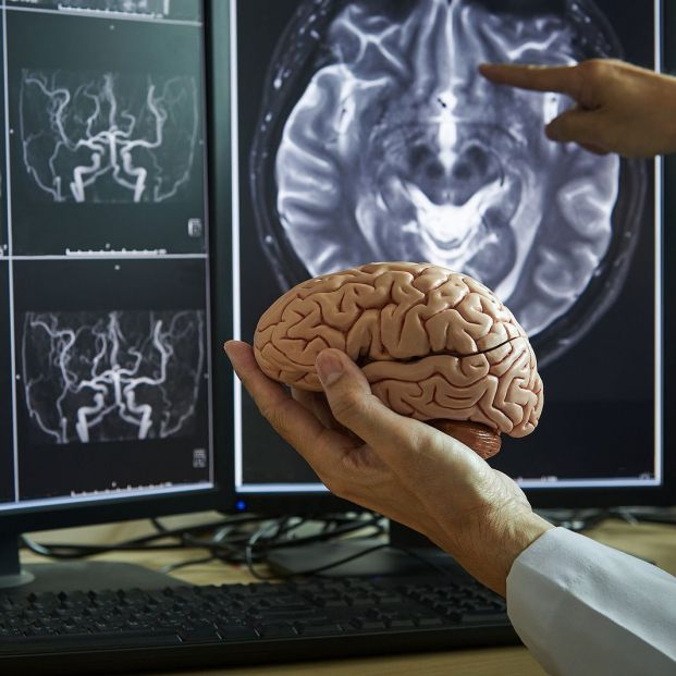 Según el experto en neuroeducación David Bueno, "Se puede aprender a hacer integrales matemáticas con 70 años". 