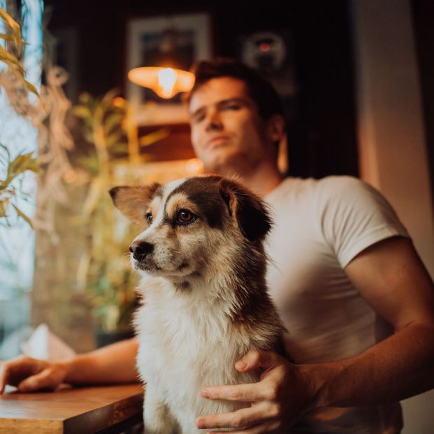 Restaurantes dog friendly Restaurantes dog friendly