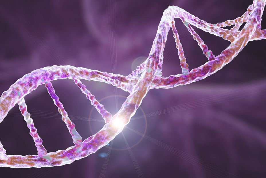 Las mutaciones en el reino animal, claves para entender el envejecimiento