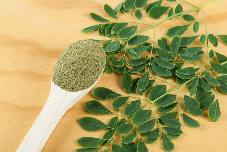 Moringa Moringa
