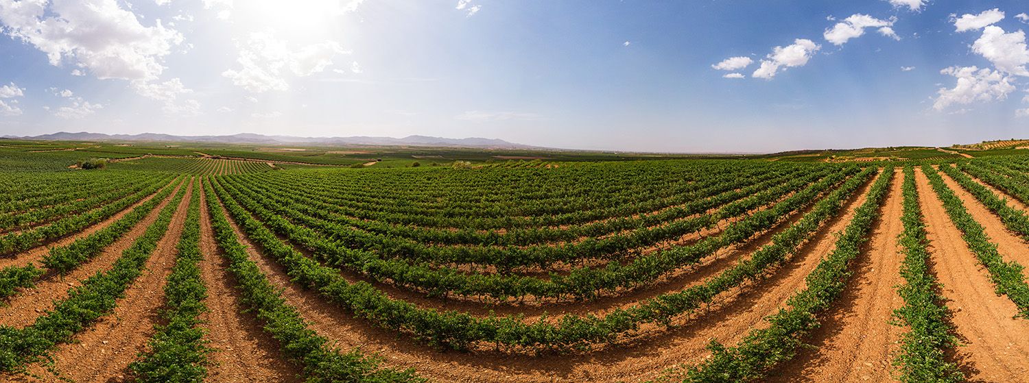 100 0562pano 100 0562pano