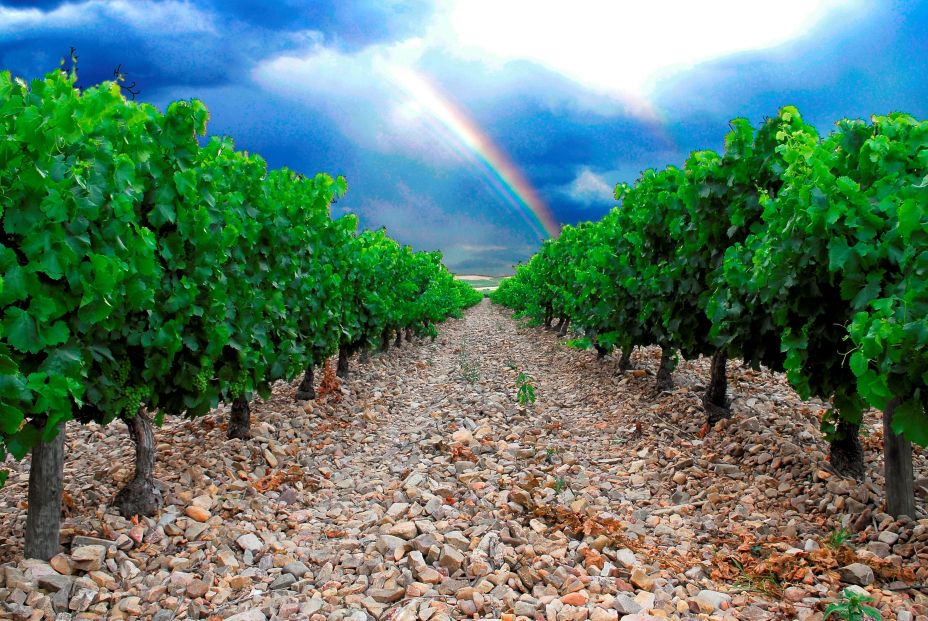 Monte Ducay Monte Ducay