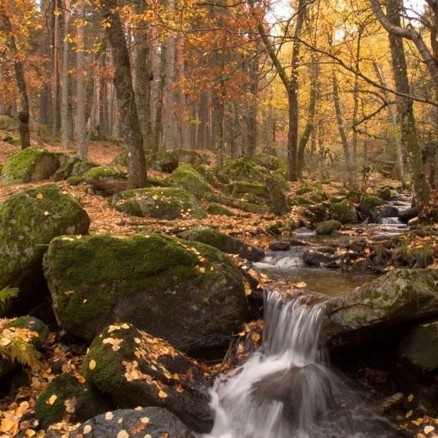 Valle del Lozoya Valle del Lozoya