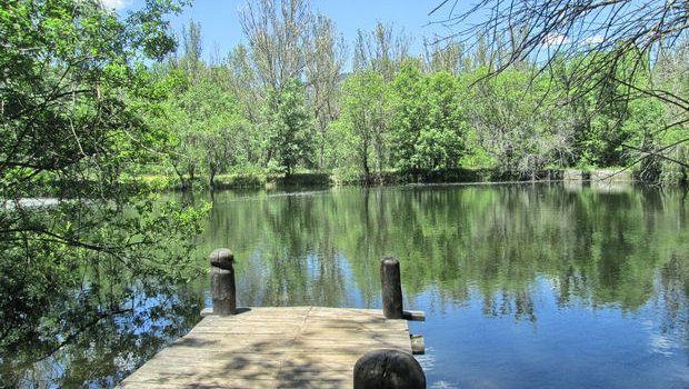Bosque de Finlandia Bosque de Finlandia