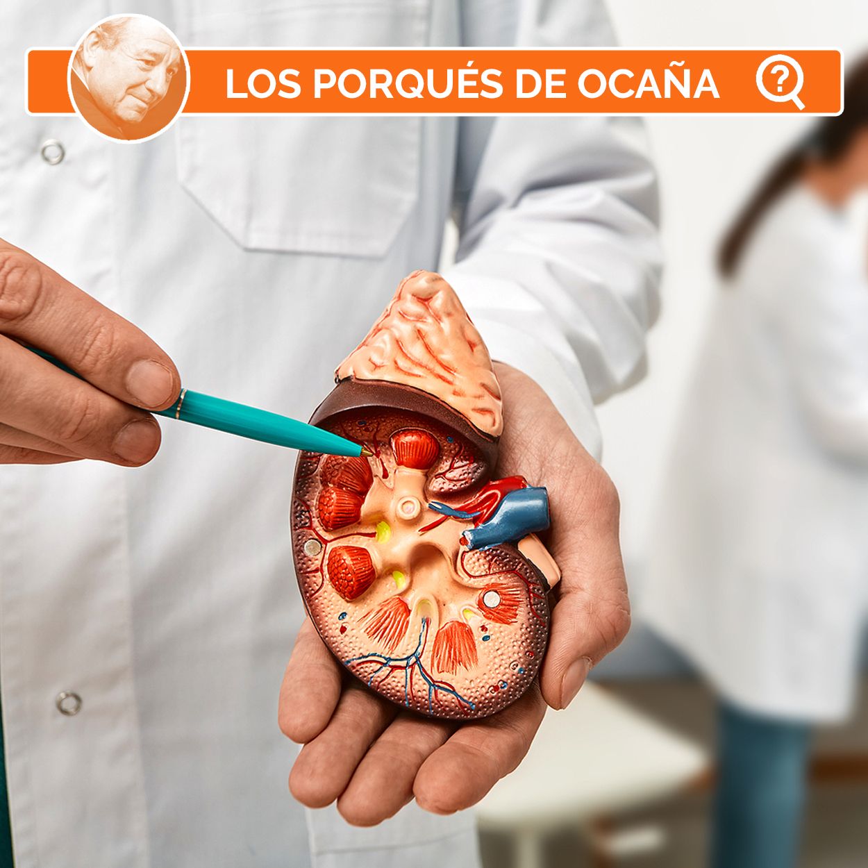 ¿Por qué se forman piedras en el riñón?