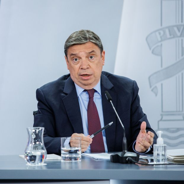 El ministro de Agricultura, Pesca y Alimentación, Luis Planas El ministro de Agricultura, Pesca y Alimentación, Luis Planas