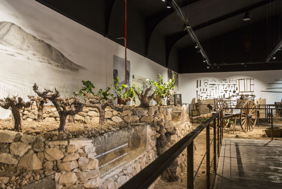 Foto Museo del vino Jumilla Foto Museo del vino Jumilla