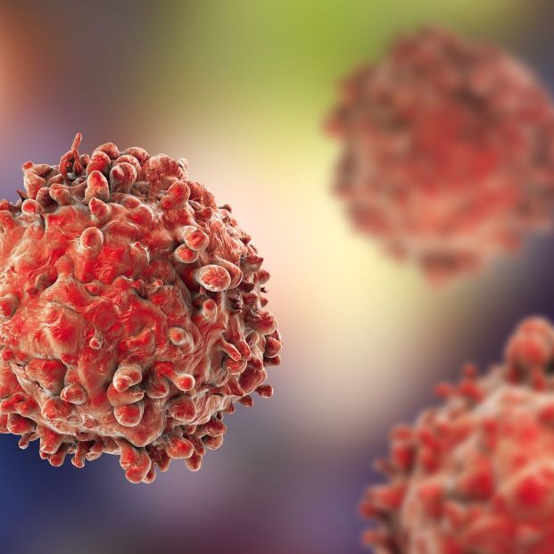 Premio de Medicina Personalizada de Precisión para una nueva técnica relacionada con la leucemia Premio de Medicina Personalizada de Precisión para una nueva técnica relacionada con la leucemia