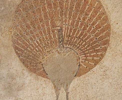 Mosaico del Paturro. FotoUniversidad de Murcia