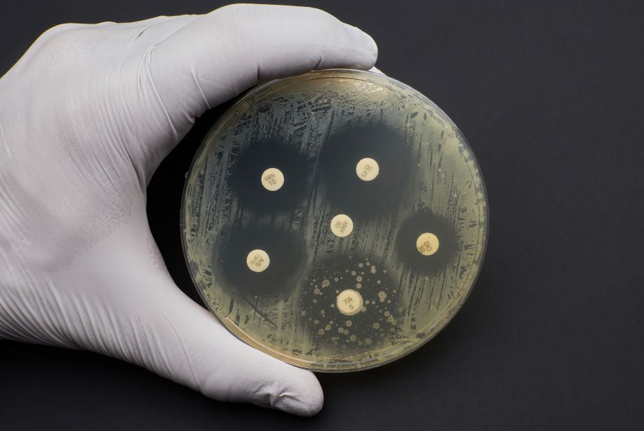 La contaminación de los océanos podría albergar bacterias para nuevos medicamentos La contaminación de los océanos podría albergar bacterias para nuevos medicamentos