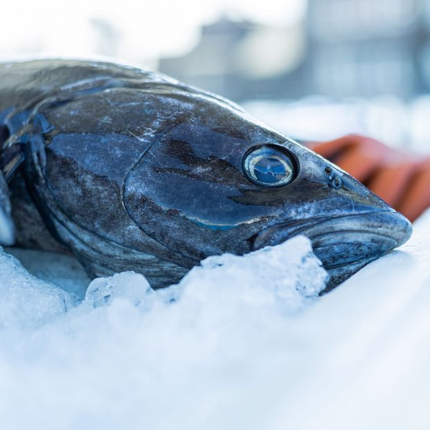 El bacalao, una inmensa fuente de salud