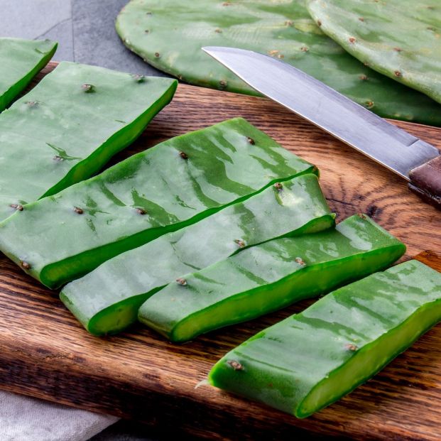 Cactus nepal Cactus nepal