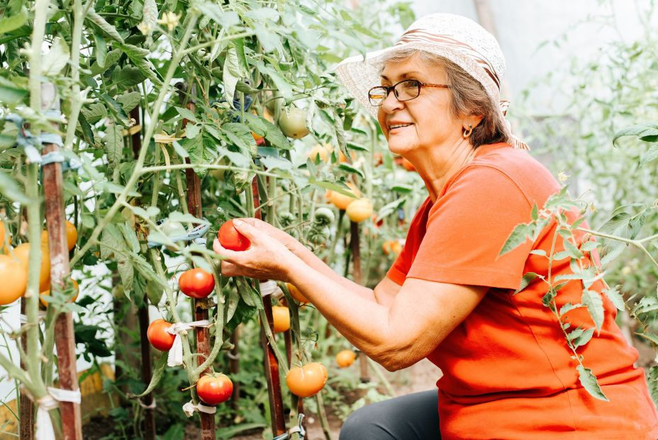 La jardinería puede mejorar la salud mental, según un estudio La jardinería puede mejorar la salud mental, según un estudio