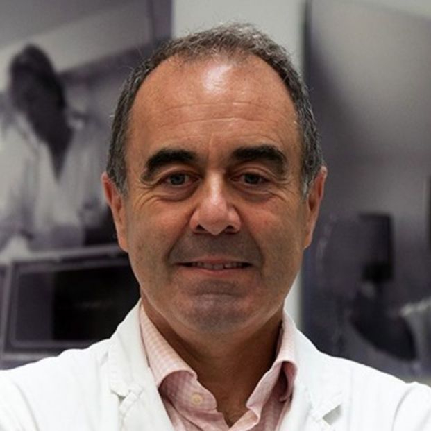 El presidente de los inmunólogos pide prudencia: "Tendremos Covid para mucho tiempo" El presidente de los inmunólogos pide prudencia: "Tendremos Covid para mucho tiempo"