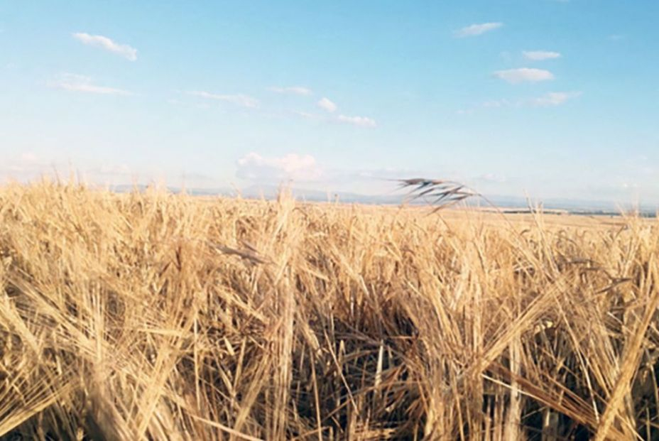 Captura de pantalla 2022 07 27 a las 11.39.42 Captura de pantalla 2022 07 27 a las 11.39.42