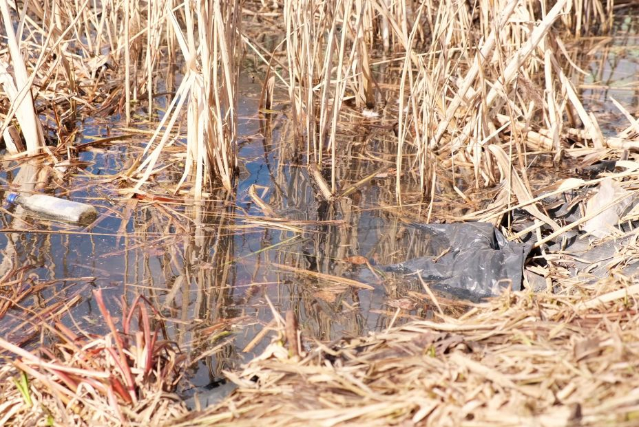 Los plásticos que contaminan los lagos podrían eliminarse mediante bacterias