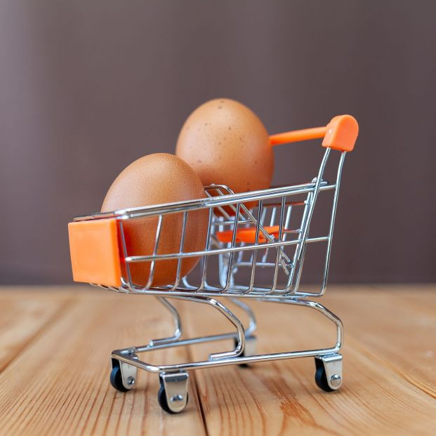 diferentes tipos de huevos diferentes tipos de huevos