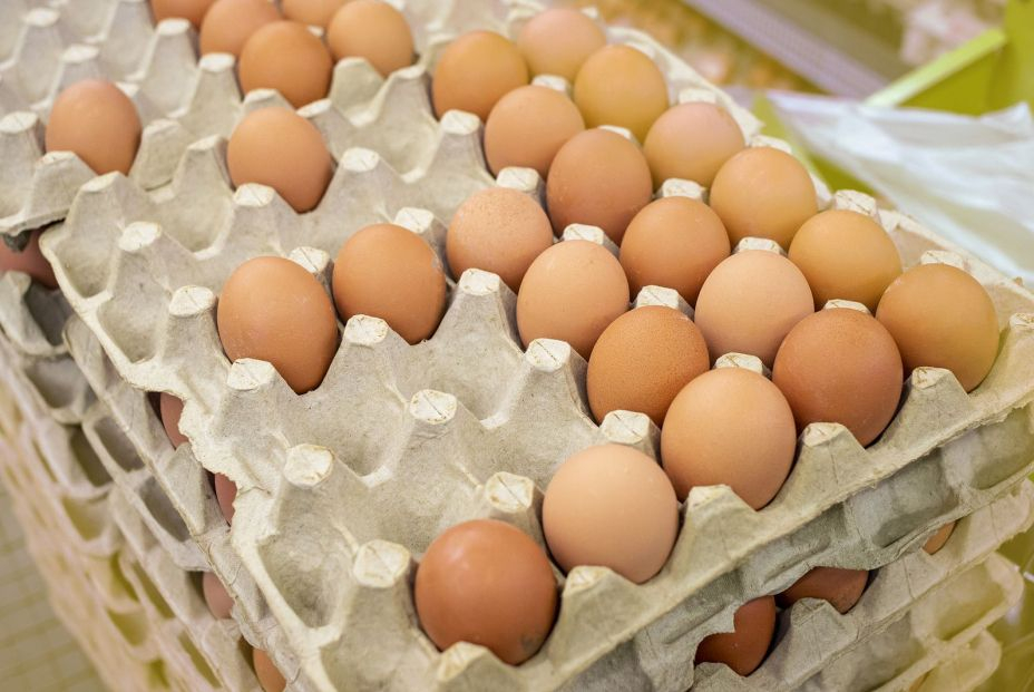 huevos camperos o ecológicos huevos camperos o ecológicos