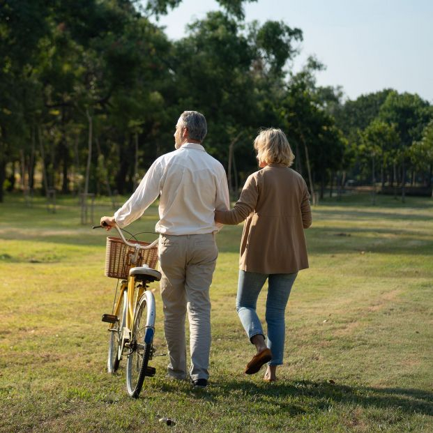 pension origen historia pension origen historia