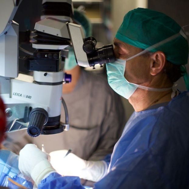 Dentro de cinco años las personas ciegas podrían volver a ver, según los expertos. Foto: Europa Press Dentro de cinco años las personas ciegas podrían volver a ver, según los expertos. Foto: Europa Press