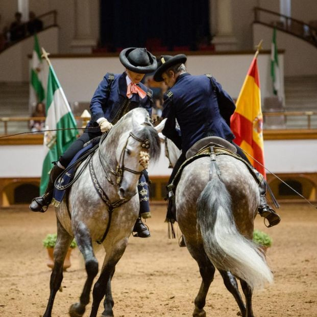 La Plaza de Toros de Málaga acoge la Gala de Verano de la Real Escuela Andaluza del Arte Ecuestre La Plaza de Toros de Málaga acoge la Gala de Verano de la Real Escuela Andaluza del Arte Ecuestre
