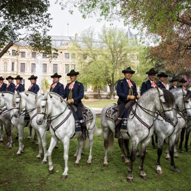 La Plaza de Toros de Málaga acoge la Gala de Verano de la Real Escuela Andaluza del Arte Ecuestre La Plaza de Toros de Málaga acoge la Gala de Verano de la Real Escuela Andaluza del Arte Ecuestre