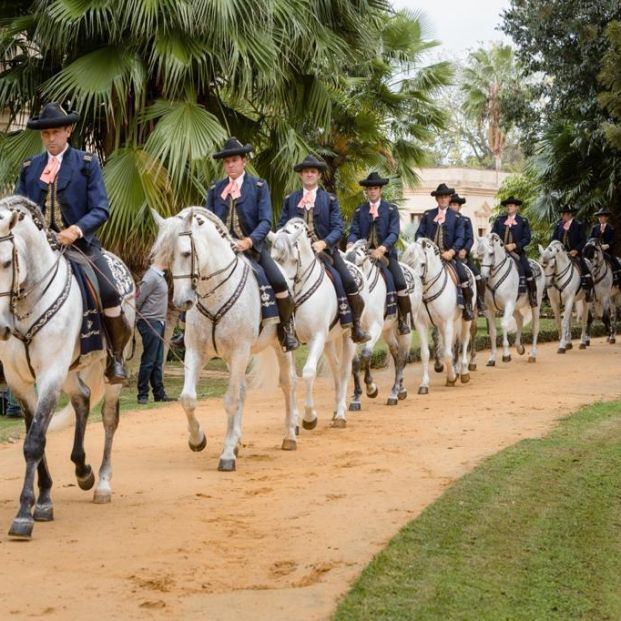 La Plaza de Toros de Málaga acoge la Gala de Verano de la Real Escuela Andaluza del Arte Ecuestre La Plaza de Toros de Málaga acoge la Gala de Verano de la Real Escuela Andaluza del Arte Ecuestre