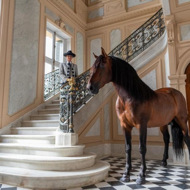 La Plaza de Toros de Málaga acoge la Gala de Verano de la Real Escuela Andaluza del Arte Ecuestre La Plaza de Toros de Málaga acoge la Gala de Verano de la Real Escuela Andaluza del Arte Ecuestre