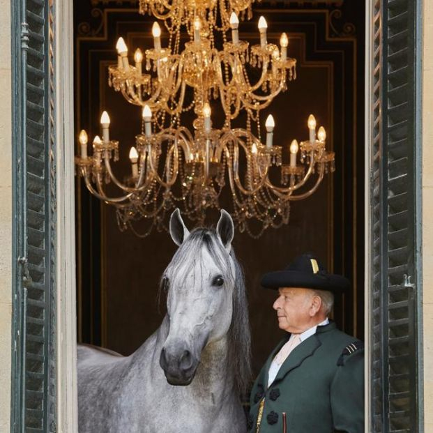 La Plaza de Toros de Málaga acoge la Gala de Verano de la Real Escuela Andaluza del Arte Ecuestre La Plaza de Toros de Málaga acoge la Gala de Verano de la Real Escuela Andaluza del Arte Ecuestre