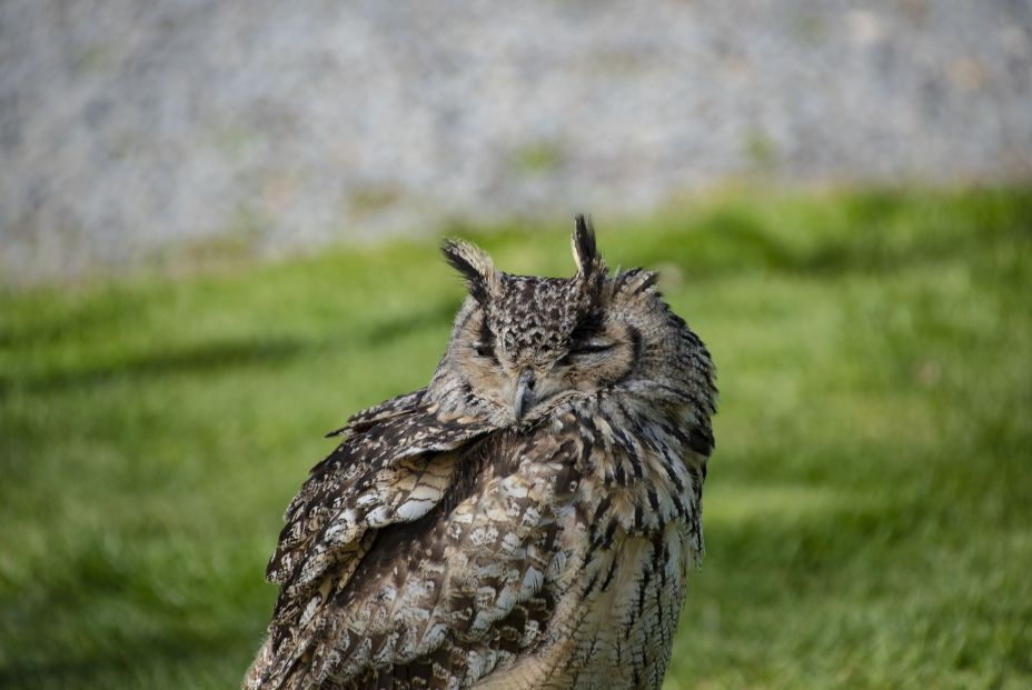 Qué cambiaría en la Tierra si desapareciese la Luna Qué cambiaría en la Tierra si desapareciese la Luna