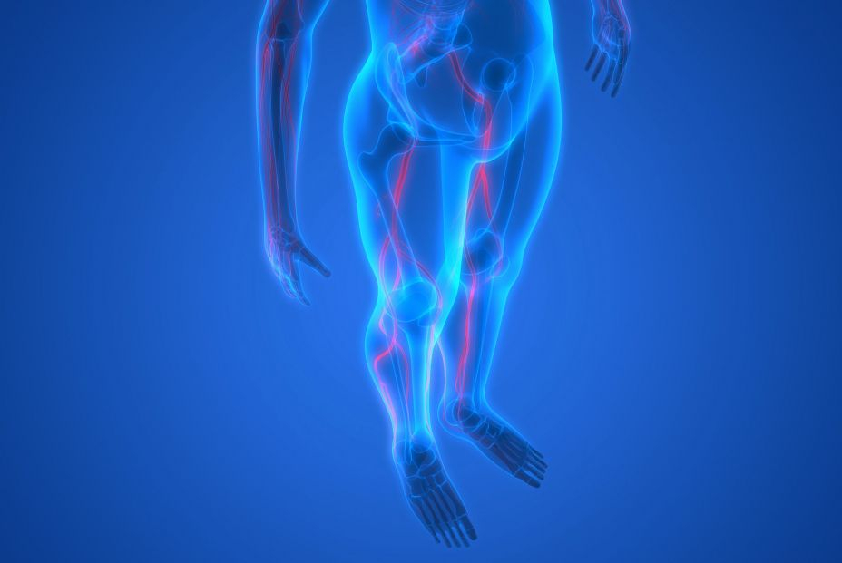 Ciática: qué es y por qué afecta especialmente a las personas mayores Ciática: qué es y por qué afecta especialmente a las personas mayores