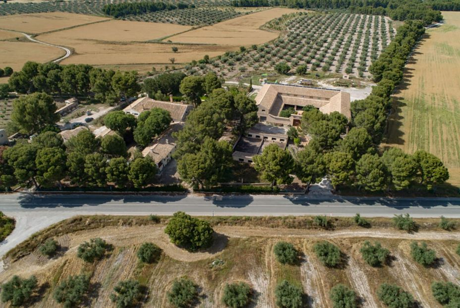 Visita a las bodegas de la Denominación de Origen Protegida Bullas Visita a las bodegas de la Denominación de Origen Protegida Bullas