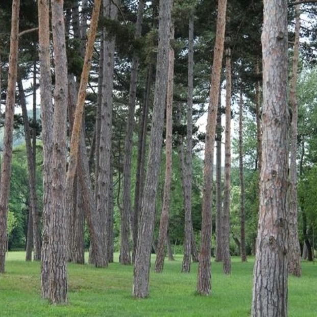 Rutas por la provincia alavesa Rutas por la provincia alavesa