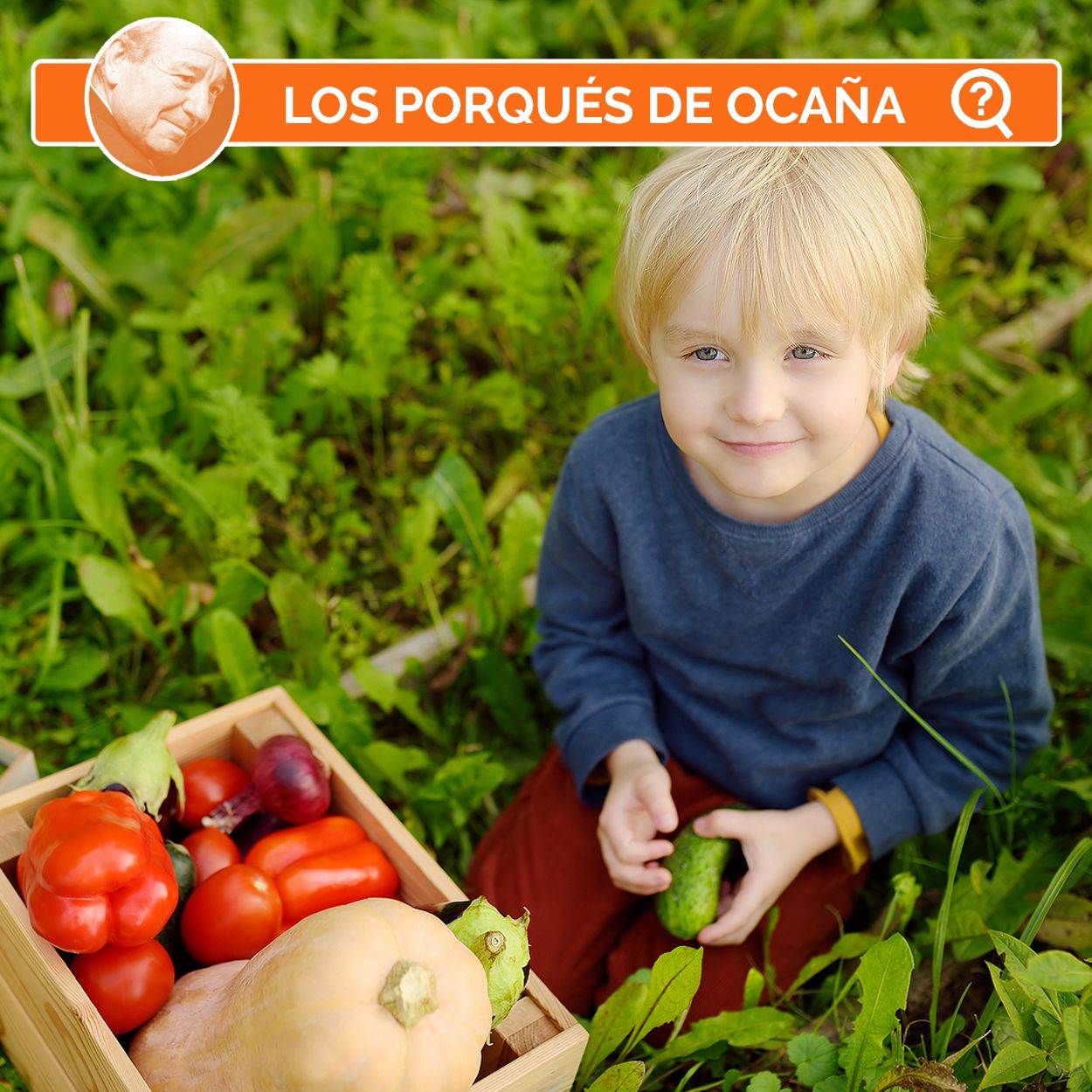¿Por qué no es buena la dieta vegetariana para los niños?