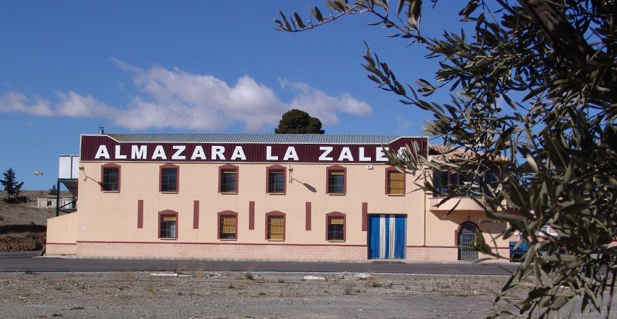 La zalea La zalea