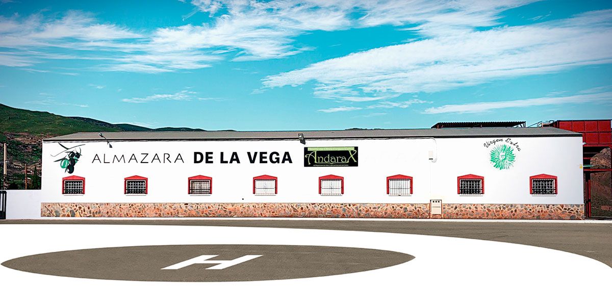 Almazara de la Vega Almazara de la Vega