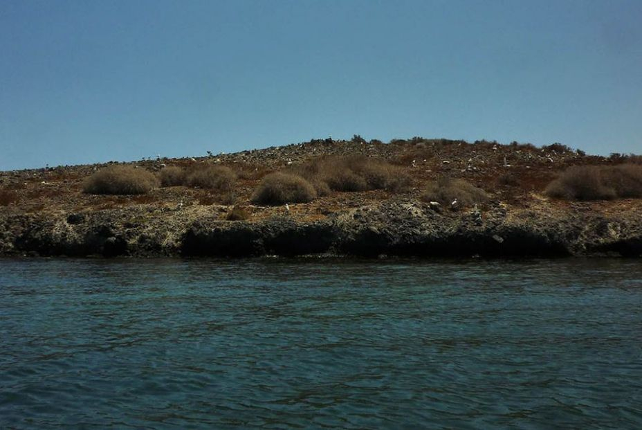 Isla Sujeto. Foto Wikipedia Isla Sujeto. Foto Wikipedia