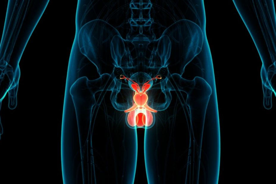 Hombres con turno de trabajo nocturno: mayor riesgo de sufrir cáncer de próstata Hombres con turno de trabajo nocturno: mayor riesgo de sufrir cáncer de próstata