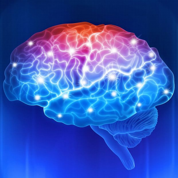 bigstock Human Brain On A Blue Backgrou 454878765 bigstock Human Brain On A Blue Backgrou 454878765