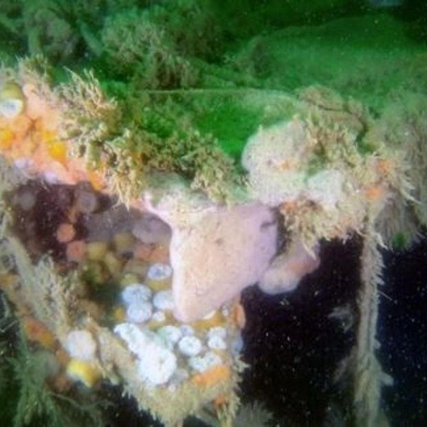 EuropaPress 4753544 revestimiento cubierta rasgado 1302 john mahn fue danado bomba golpeo medio EuropaPress 4753544 revestimiento cubierta rasgado 1302 john mahn fue danado bomba golpeo medio