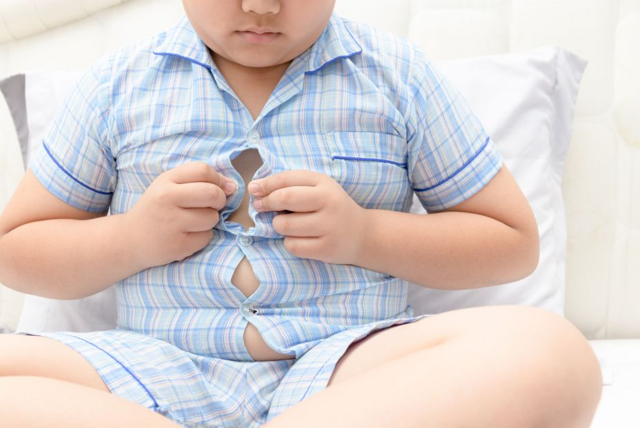 EuropaPress 4069696 obesidad infantil