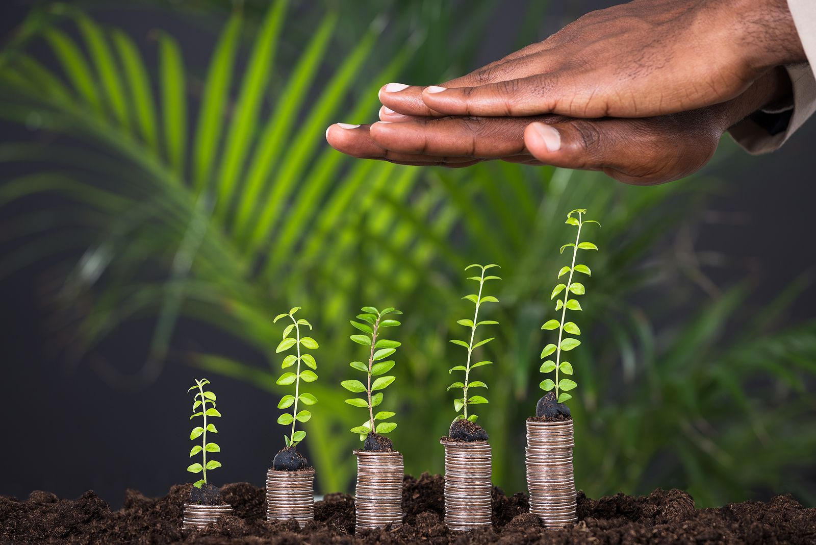 La Región de Murcia aumenta la colaboración con el Banco Africano de Desarrollo . Foto: bigstock  