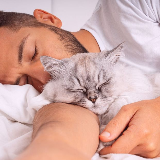 bigstock Man Sleeping With Cat Lovely449212119