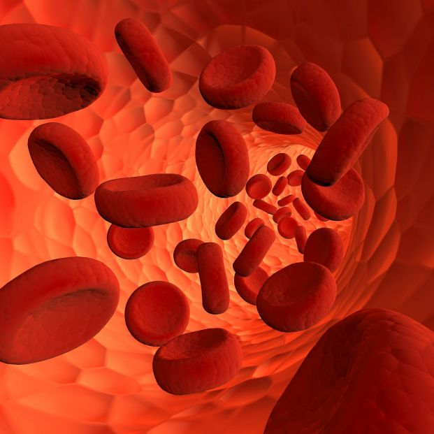 bigstock Blood Cells Flying Through Art 458502883 bigstock Blood Cells Flying Through Art 458502883