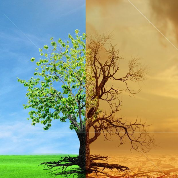 bigstock Climate Change From Drought To 457685823 bigstock Climate Change From Drought To 457685823