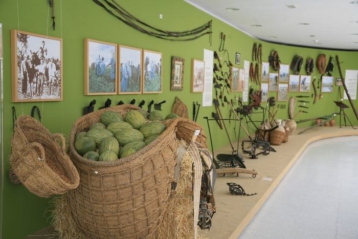 Museo del melón Museo del melón