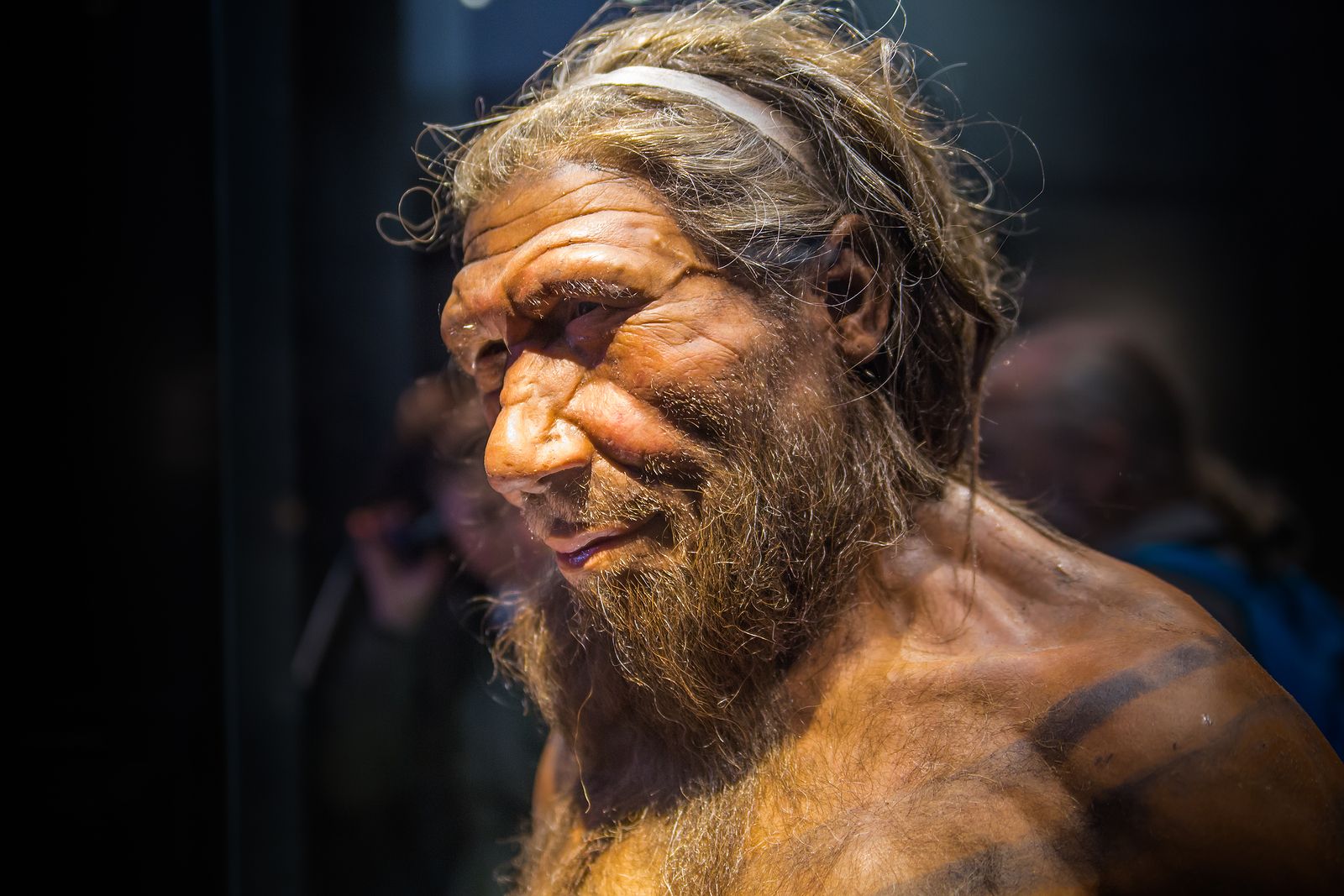 Descubren que los ancestros de los simios y los neandertales probablemente se besaban