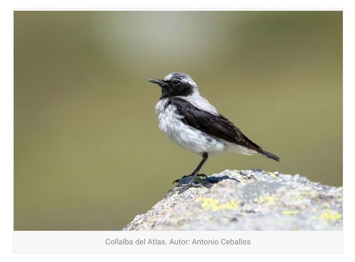 Captura de pantalla 2022 11 11 a las 10.33.55 Captura de pantalla 2022 11 11 a las 10.33.55