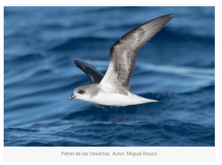 Captura de pantalla 2022 11 11 a las 10.34.01 Captura de pantalla 2022 11 11 a las 10.34.01